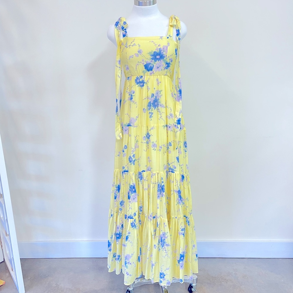 Loveshackfancy Burrows Dress In Sunshower Garden sz 0